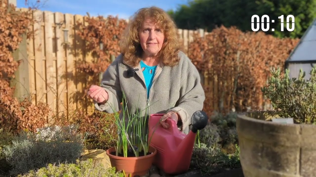 5 Essential Spring Bulb Tips in 1 minute