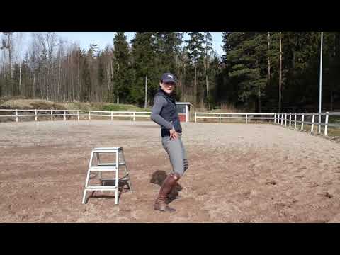 Keventäminen ravissa +tavallisimmat virheet (osa 1)(ratsastajan istunta)