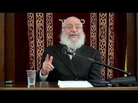 Analyzing The Yissachar-Zevulun Relationship | Weekly Shiur by Rav Asher Weiss Shlit"a | 5784