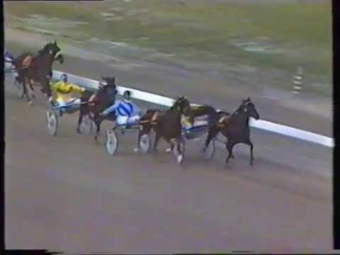 1984 Interdominions - Globe Derby Park, Adelaide, Pacers' 1st Consolation: The Rattler