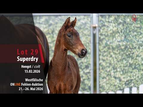 youtube preview