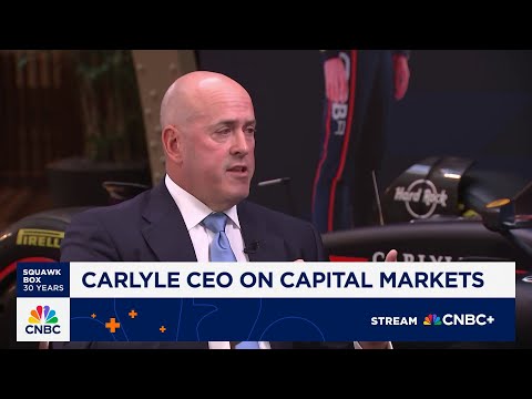 Carlyle CEO Harvey Schwartz on Red Bull F1 partnership, alts in 401(k)s and state of capital markets