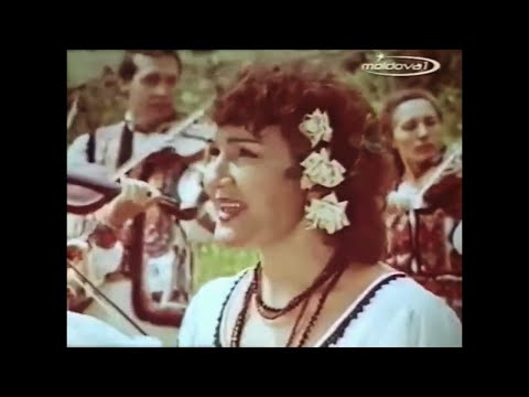 Zinaida Julea - Plai natal - Moldova noastră (1985)