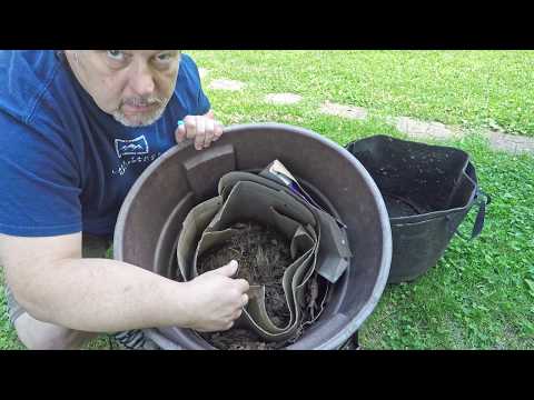 Outdoor worms moved from trash pail into fabric container - vermicomposting