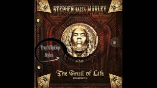 Stephen Marley – Tonight (It’s a Party) [feat. DJ Khaled, Waka Flocka Flame & Iggy Azalea]