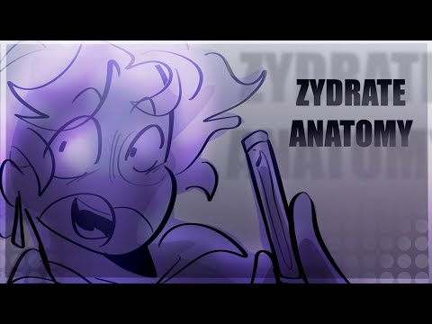 Zydrate Anatomy | Genshin Impact Animatic