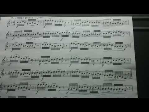 2013 KMEA Horn Audition, #2 (Kopprasch 9)