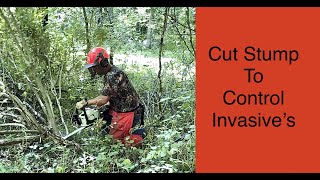 Cut Stump Method of Invasive