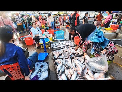 Real Life in Fish Market Scene - Fish Distribution Site in Phnom Penh, Vendors, Fish, Seafood & More