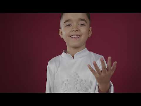 Radu Matei | Fluturi de zăpadă | Cover