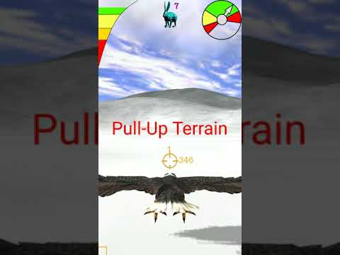 Bird flying simulator 3D Eagle