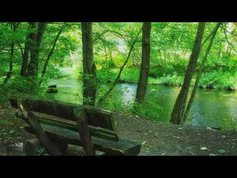 TROIS HEURES de musique pour l'étude augmenter la concentration, Musique pour travailler