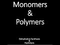 Monomers Polymers Dehydration Synthesis Hydrolysis