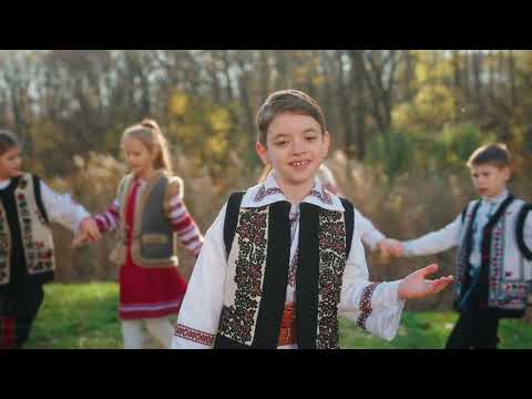 Rareș Prisacariu - Codrii sunt și frații mei, Official Music Video