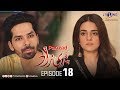 Parizad | Episode 18 | TV One Classics Drama