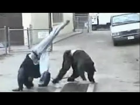 The story of Zero Gravity's Title Pending 1 (Larry Leong)