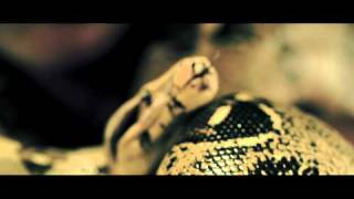 SNAKES IN THE GRASS - DIRECTOR&#39;S CUT - 1080P HD