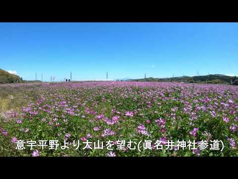 教育学科 八雲立つ風土記の丘蔵出し映像総ざらえ！2020眞名井神社参道