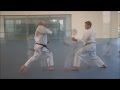 Karate Do Ichiro 