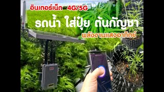 วิธีปลูกต้นกัญชา ให้โตเร็ว ด้วยการรดน้ำสั่งงานผ่านมือถือ ระบบอินเตอร์เน็ต 4G/5G  พลังงานแสงอาทิตย์
