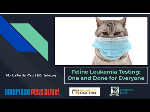 Feline Leukemia Testing: One and Done for Everyone - webcast