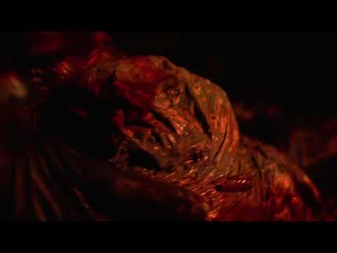 PETBRICK - Radiation Facial Ft. Dylan Walker (OFFICIAL VIDEO)