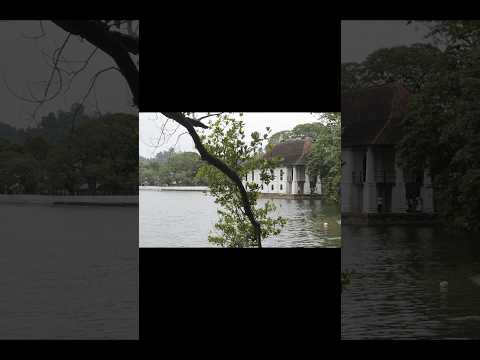 Nadeesha Pathirana's Photos  Aug & Sep #composition, #photography, #photoreview