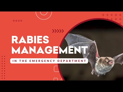 Do You REALLY Need a Rabies Shot?