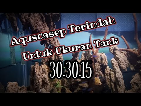 aquascape-terindah-untuk-ukuran-303015