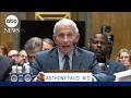 Fauci invokes 5th Amendment during Senate testimony