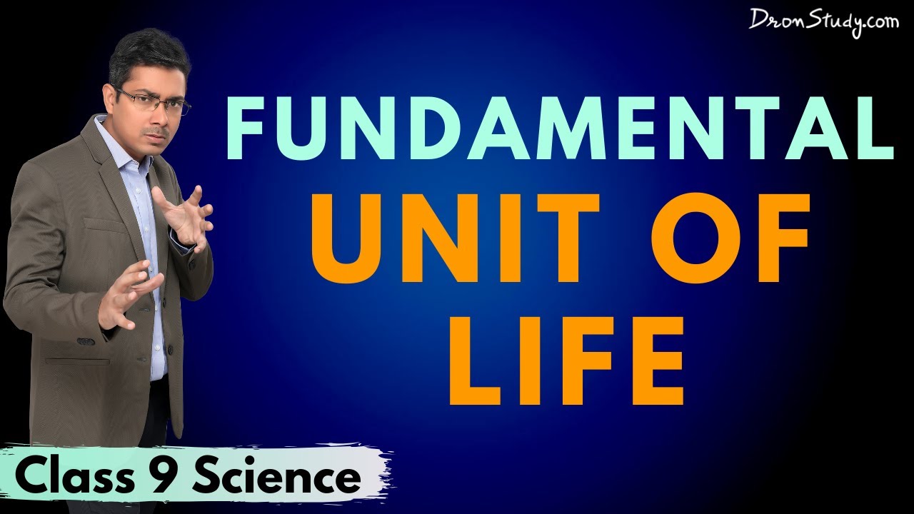 Fundamental Unit of Life - Plasma Membrane : Chapter 5: CBSE Class 9 Science - Toppr Study