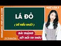 Lá đỏ - Ngữ văn lớp 8 | Kết nối tri thức