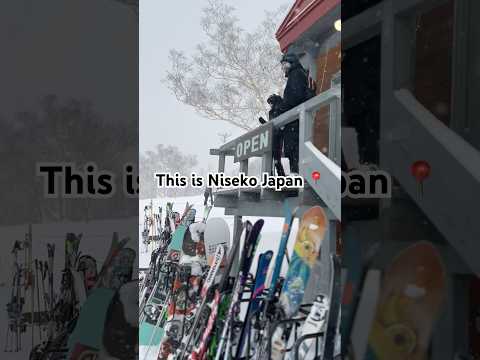 Skiing in Niseko #japow #snow #skiing #skiresorts #coffeeshop #niseko