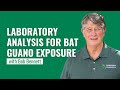Handling Bat Guano in Attics: What You Need to Know About Histoplasmosis and Sampling