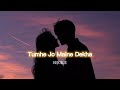 Tumhe Jo Maine Dekha [slowed+reverb] || Abhijeet || Shreya Ghosal || REJOICE