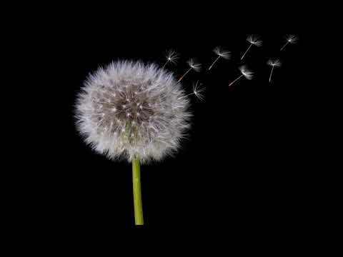 "Fragile" (cover) by Oliva