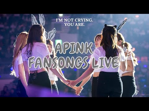 English lyrics | Apink Fansongs Live Compilation