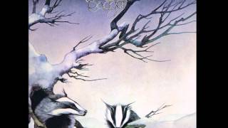 on the way home- badger