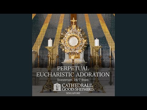Perpetual (24/7) Eucharistic Adoration Prayer Mission