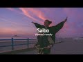 Saibo (slowed+reverb)
