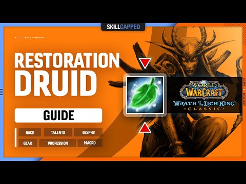 RESTO DRUID WOTLK GUIDE | Best Race, Talents, Glyphs, Gear, Professions & Macros