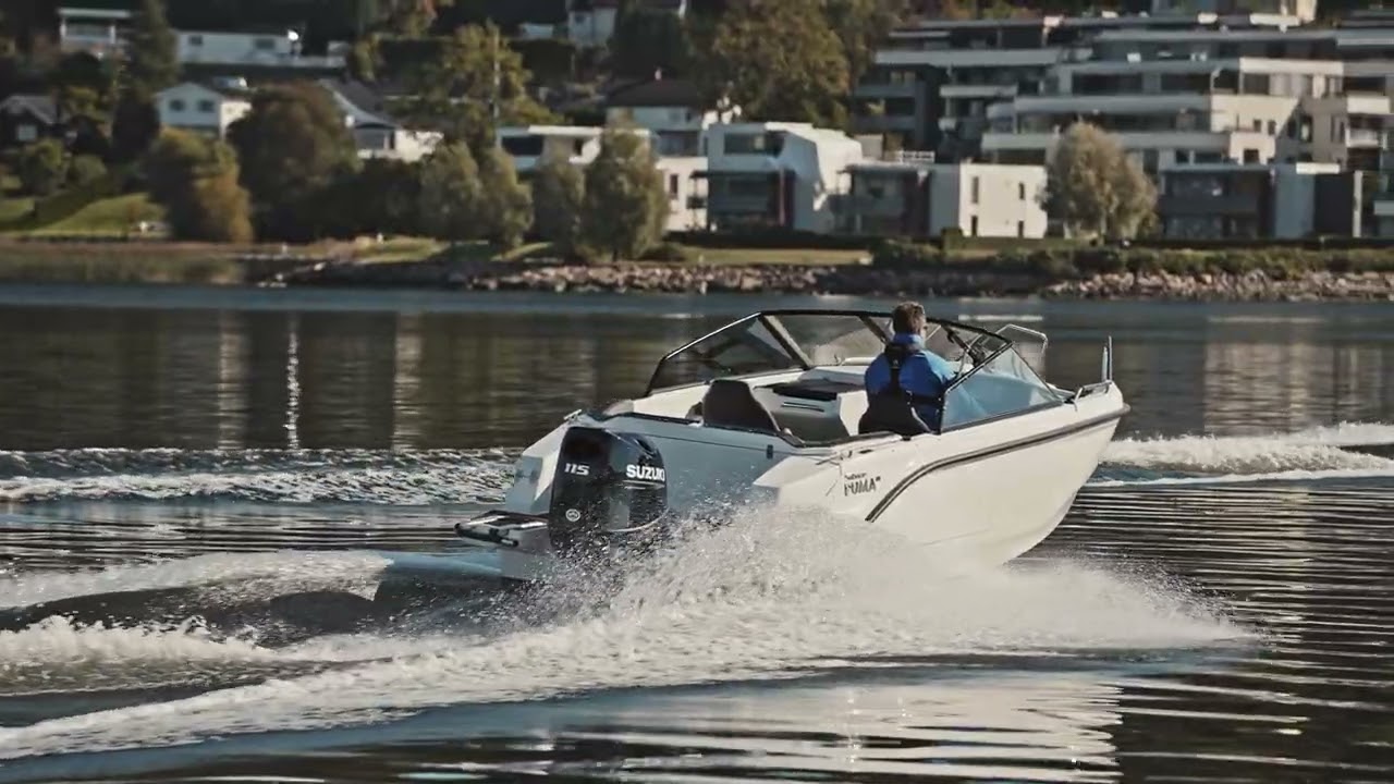 Silver Puma - Promo Video