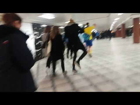 Swedish fans after victory on Belarus