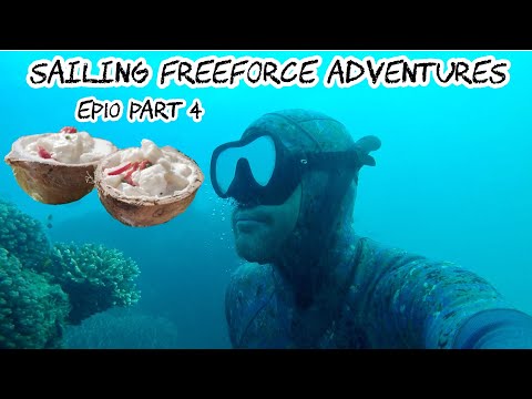 Ep10. Percy Island Part 4 of 6 Spearfishing catch and cook coconut cream fish and sup boarding
