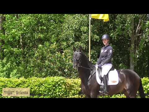 Iniesta - v. Impetus - Monotafon, geb. 2018