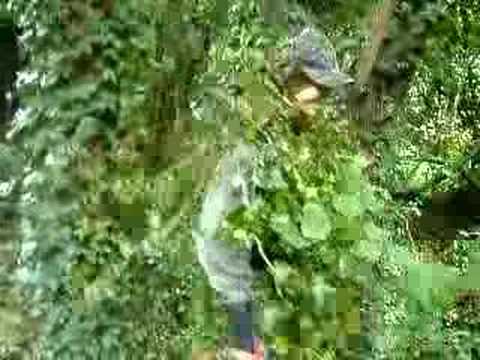 [NAD] Camouflage Lucasito