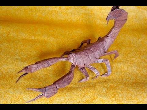 Making your own origami design (origami Scorpion)