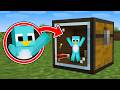 Can MILO Survive Inside A Chest