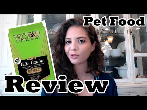 Victor Dog food review: large breed puppy
