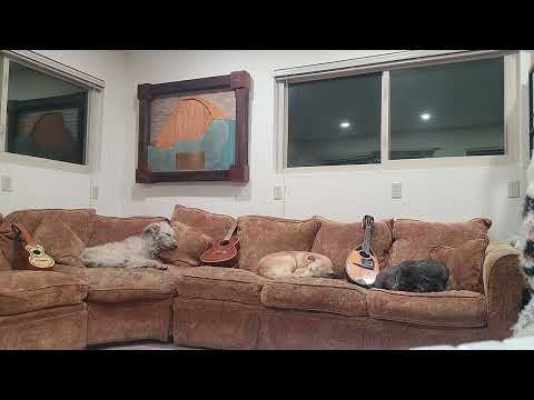 Tenor - Song of the Boatman